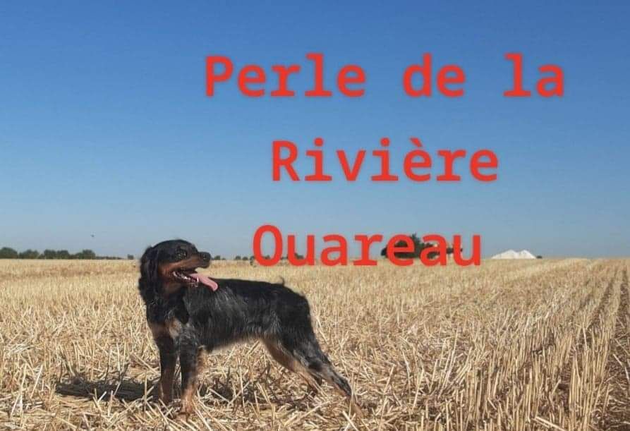 Perle la riviere ouareau