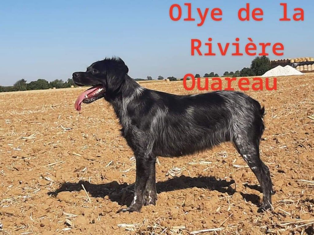 Olye De La Rivière Ouareau