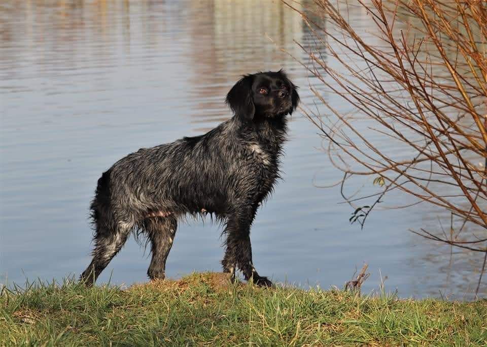 Olye De La Rivière Ouareau