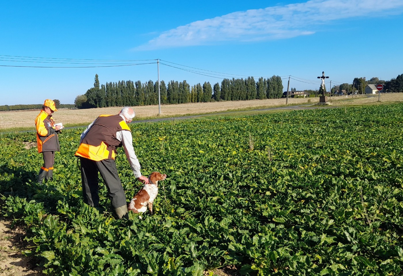 Field Trial GT - ROXIE obtient le qualificatif Très Bon