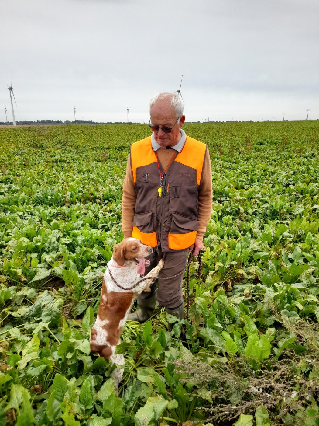 Field Trial GT- ROXIE 4ème Très Bon