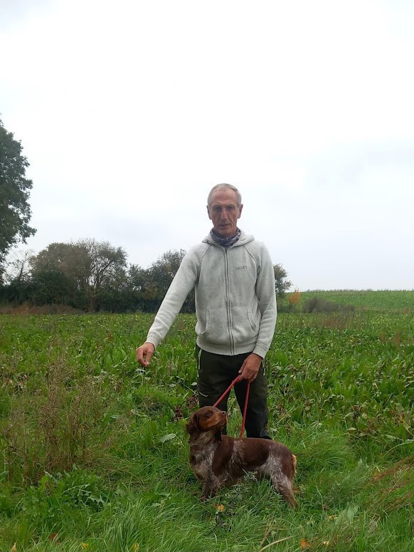 Très Bon en Field Trial GT pour SIMBA de la Rivière Ouareau