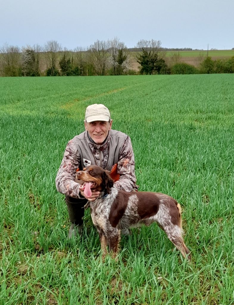 De La Coupée Du Menier - Simba 1er Excellent en Field Trial de Printemps